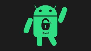 Root nedir?