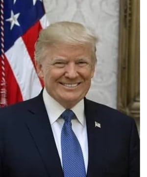 Donald Trump Portrait